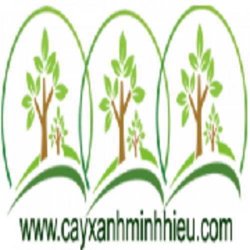 สมาชิกหมายเลข 9235463