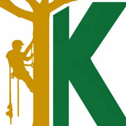 สมาชิกหมายเลข 9235535