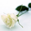 สมาชิกหมายเลข 4345200