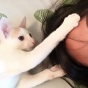 สมาชิกหมายเลข 4345344