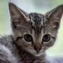 สมาชิกหมายเลข 4345853