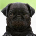 สมาชิกหมายเลข 4713596