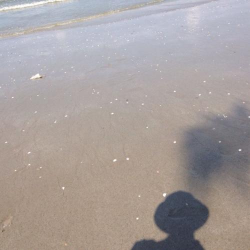 สมาชิกหมายเลข 4713635