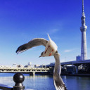 สมาชิกหมายเลข 4713707