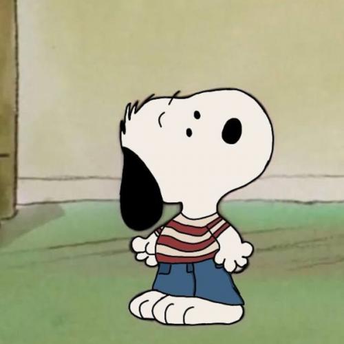 สมาชิกหมายเลข 8993065