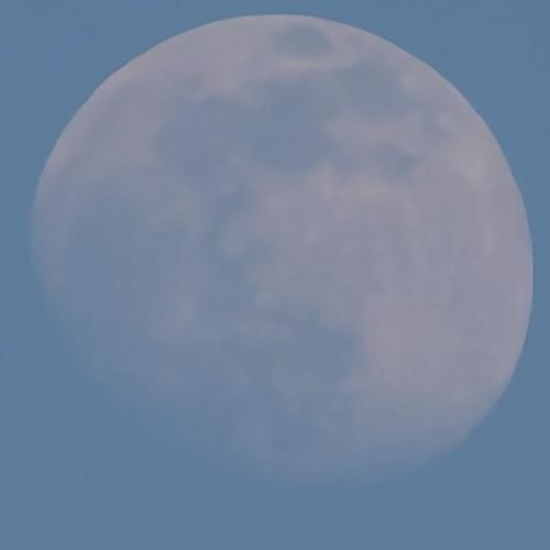 สมาชิกหมายเลข 9236404