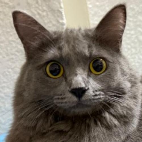 สมาชิกหมายเลข 9236702