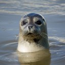 สมาชิกหมายเลข 1632477