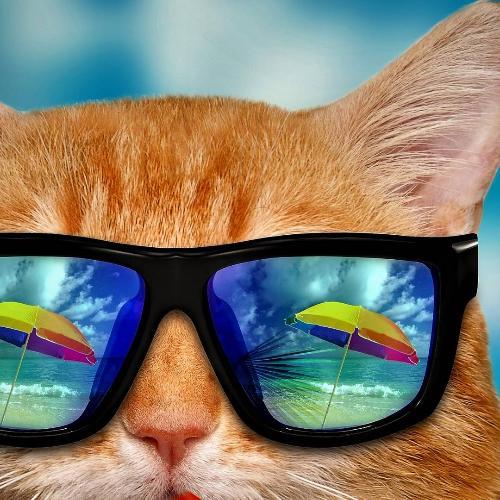 สมาชิกหมายเลข 3097069