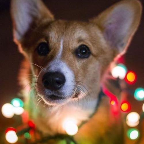 สมาชิกหมายเลข 5084516