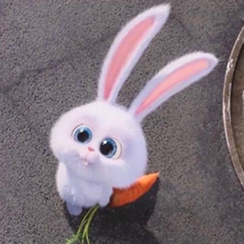 สมาชิกหมายเลข 5084617