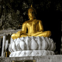 สมาชิกหมายเลข 5477451