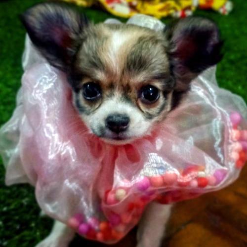 สมาชิกหมายเลข 6006690