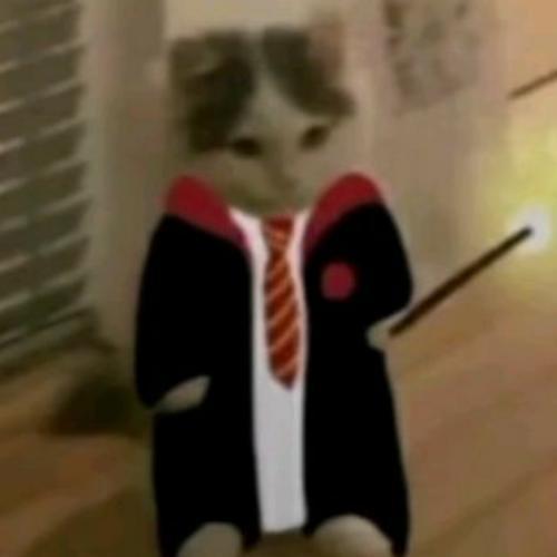 สมาชิกหมายเลข 6619782