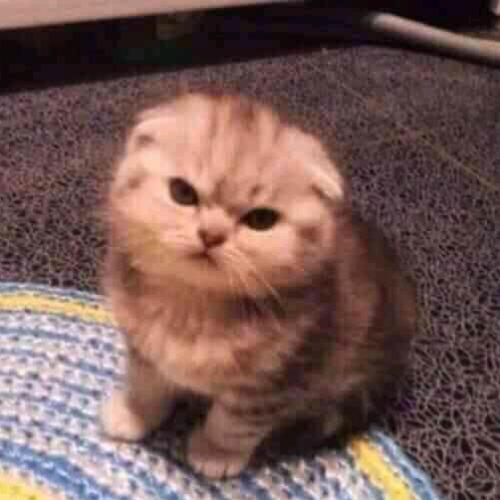 สมาชิกหมายเลข 6620360