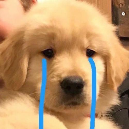 สมาชิกหมายเลข 6456458