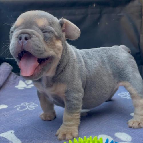 สมาชิกหมายเลข 9236147