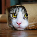 สมาชิกหมายเลข 4346473