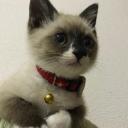 สมาชิกหมายเลข 4346503