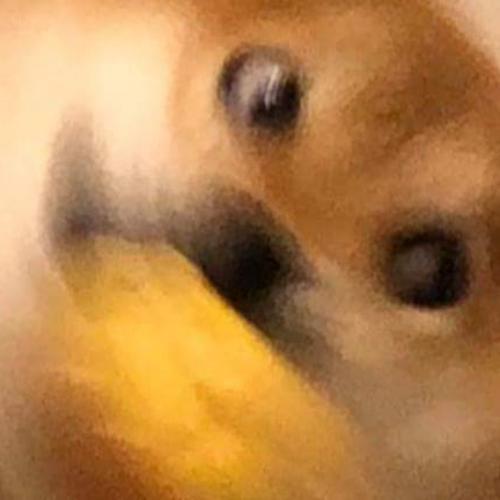 สมาชิกหมายเลข 3713402