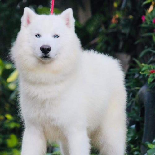 สมาชิกหมายเลข 3201357