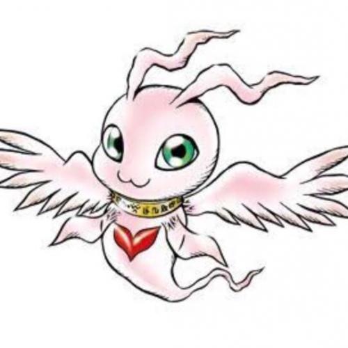 สมาชิกหมายเลข 3621526