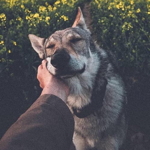 สมาชิกหมายเลข 5026910