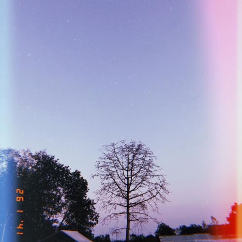 สมาชิกหมายเลข 5083512