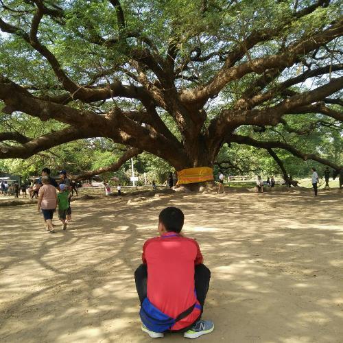 สมาชิกหมายเลข 5084786