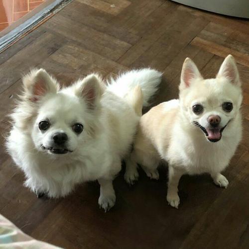 สมาชิกหมายเลข 936439