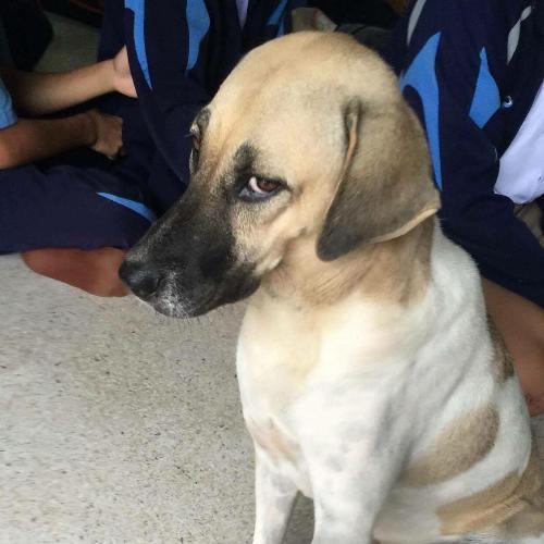 สมาชิกหมายเลข 3397043