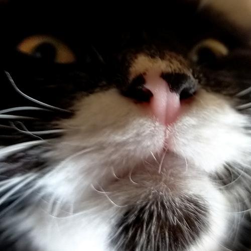 สมาชิกหมายเลข 5129781