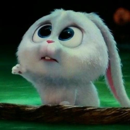 สมาชิกหมายเลข 6007457