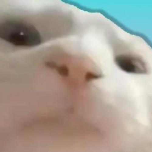 สมาชิกหมายเลข 4134403