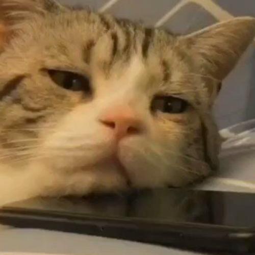 สมาชิกหมายเลข 6620501