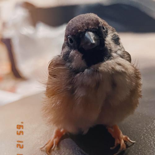 สมาชิกหมายเลข 1542600