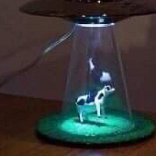 สมาชิกหมายเลข 7359952