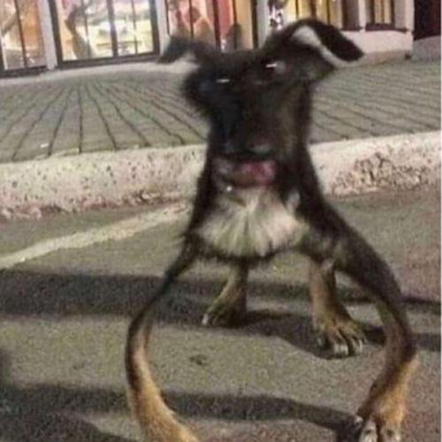 สมาชิกหมายเลข 3695299