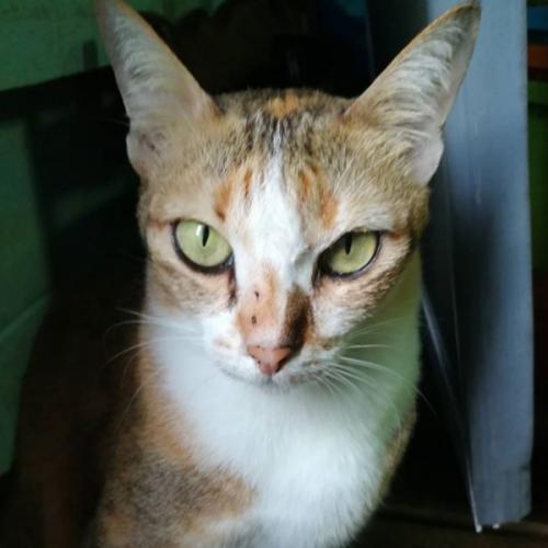 สมาชิกหมายเลข 3817763