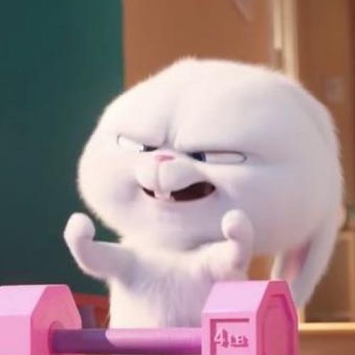 สมาชิกหมายเลข 4455744