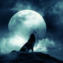 สมาชิกหมายเลข 4347037