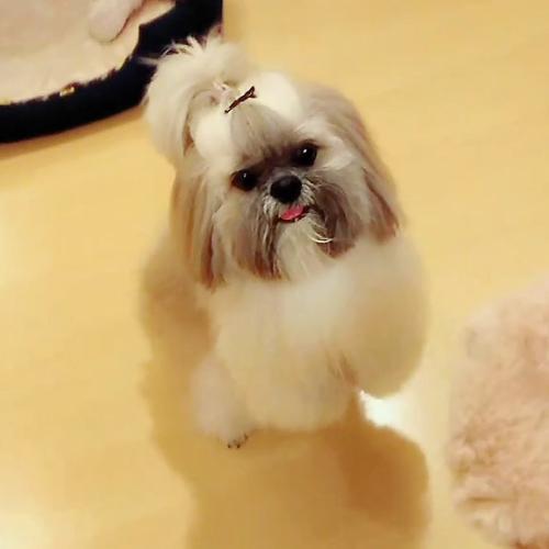 สมาชิกหมายเลข 4537986