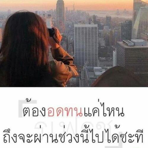 สมาชิกหมายเลข 5085413