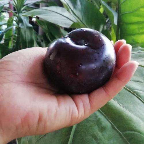 กานต์ธวัช