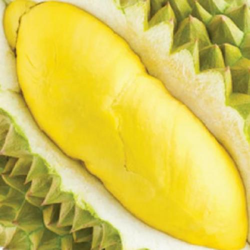 สมาชิกหมายเลข 2994217