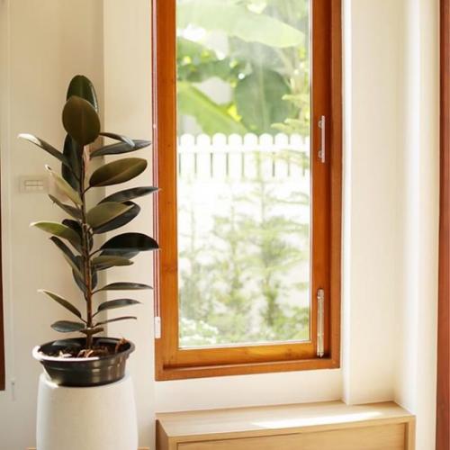 สมาชิกหมายเลข 4848489