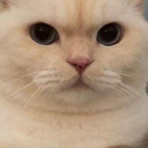 สมาชิกหมายเลข 5810231