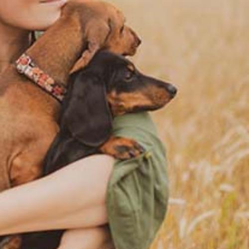 สมาชิกหมายเลข 6187127