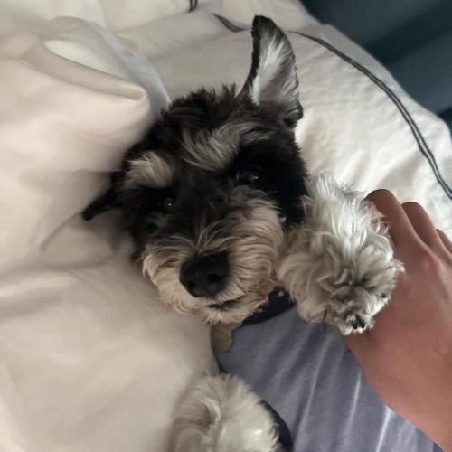 สมาชิกหมายเลข 7362143