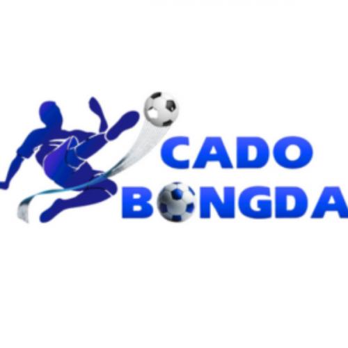 สมาชิกหมายเลข 9238167